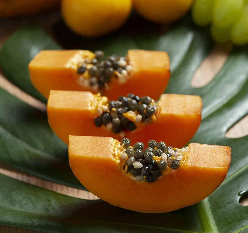 Pepaya buah segala musim yang kaya manfaat