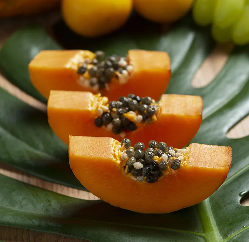 Pepaya buah segala musim yang kaya manfaat
